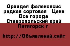 Орхидея фаленопсис редкая сортовая › Цена ­ 800 - Все города  »    . Ставропольский край,Пятигорск г.